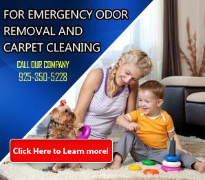 Contact Us | 925-350-5228 | Carpet Cleaning Dublin, CA